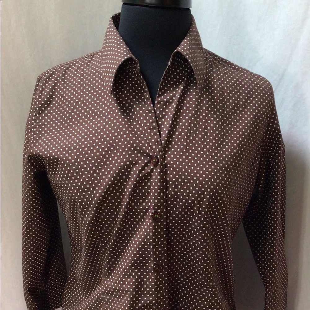 Foxcroft Brown, White polka dots button down blouse size 4